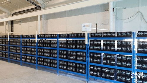 Rows upon rows of ASIC miners operate within a mining farm, demonstrating the scale of operations